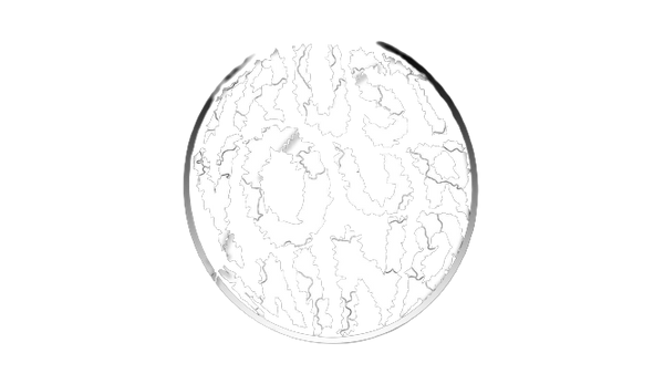 Trust Your Mind